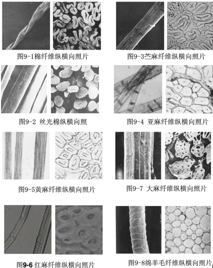 纺织材料之纤维篇（五）：纤维的鉴别二