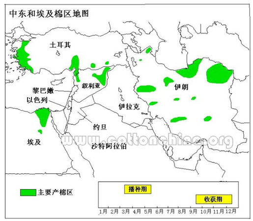 非洲棉花基本概况