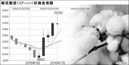 储备棉积压棉花价格却疯涨 是谁在助推棉价暴涨